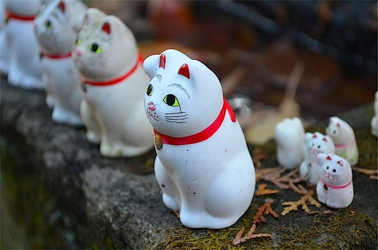 Gotokuji, Tokyo’s lucky cat shrine with manekineko statues