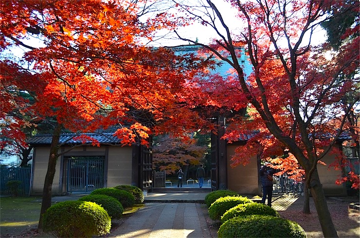 Entrance to the shrine in Setagaya Ward