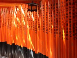 Trekking Kyoto’s Fushimi Inari Shrine Fushimi Inari - attractions in japan, japan attractions, best attractions japan, things to do in japan