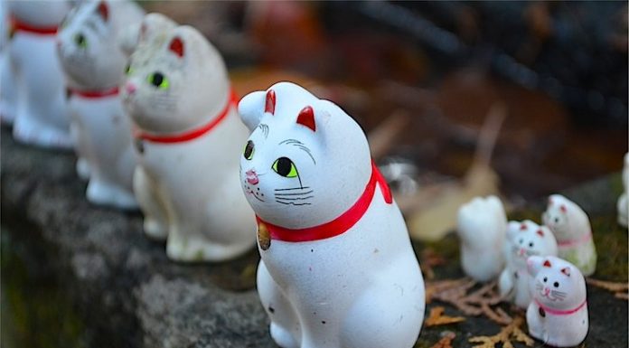 Gotokuji, Tokyo’s Lucky Cat Temple gotokuji-lucky-cat-shrine-setagaya-1