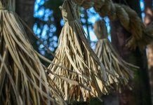First Steps of the Kumano Kodo Nakahechi Route: Day 1 japan-wakayama-kumanokodo-pilgrimage-trail-walk-day1-takijiri-takahara-header