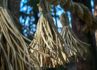 First Steps of the Kumano Kodo Nakahechi Route: Day 1 japan-wakayama-kumanokodo-pilgrimage-trail-walk-day1-takijiri-takahara-header