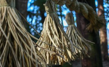 First Steps of the Kumano Kodo Nakahechi Route: Day 1 japan-wakayama-kumanokodo-pilgrimage-trail-walk-day1-takijiri-takahara-header