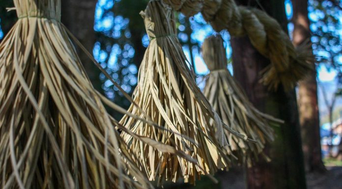 First Steps of the Kumano Kodo Nakahechi Route: Day 1 japan-wakayama-kumanokodo-pilgrimage-trail-walk-day1-takijiri-takahara-header
