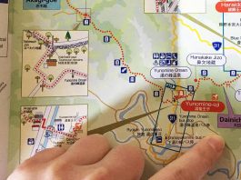 Hiking the Kumano Kodo Pilgrimage japan-wakayama-kumanokodo-pilgrimage-trail-walk