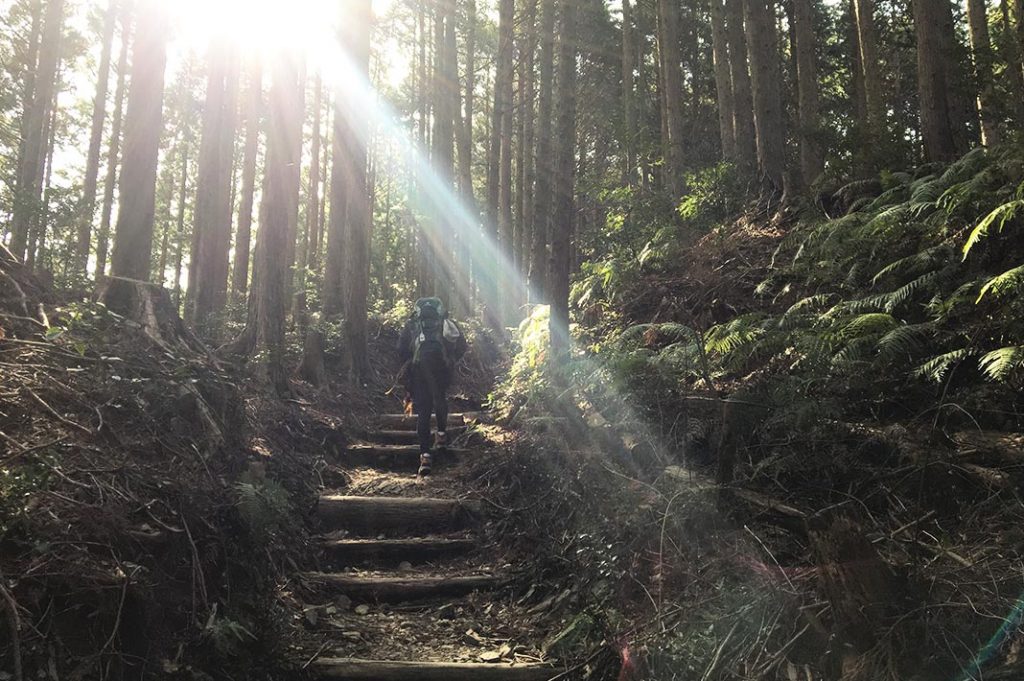 Hiking the Kumano Kodo Pilgrim in Wakayama Prefecture