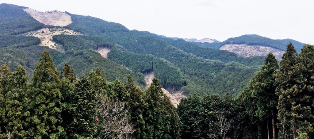 Hiking the Kumano Kodo