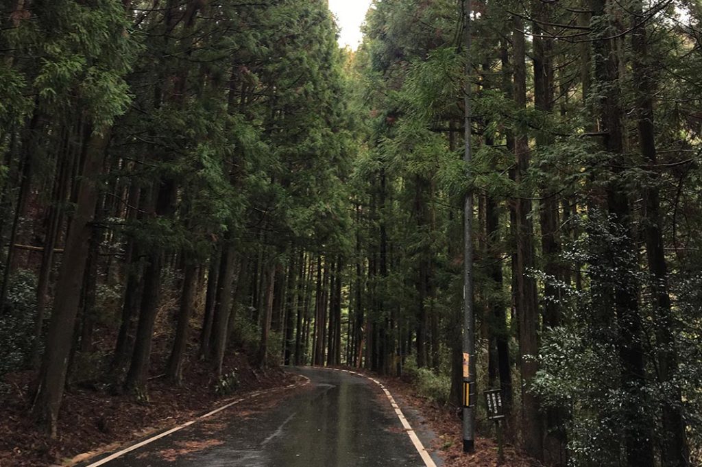 Hiking the Kumano Kodo pilgrim