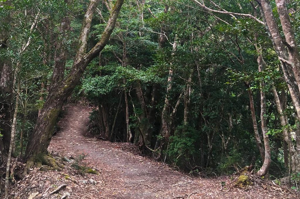 The day’s hike followed the Kogumotori-goe path from Ukegawa to Koguchi. In total, 13km long, an elevation gain of 670m, elevation loss of 690m and a recommended time of 4.5–6 hours. 
