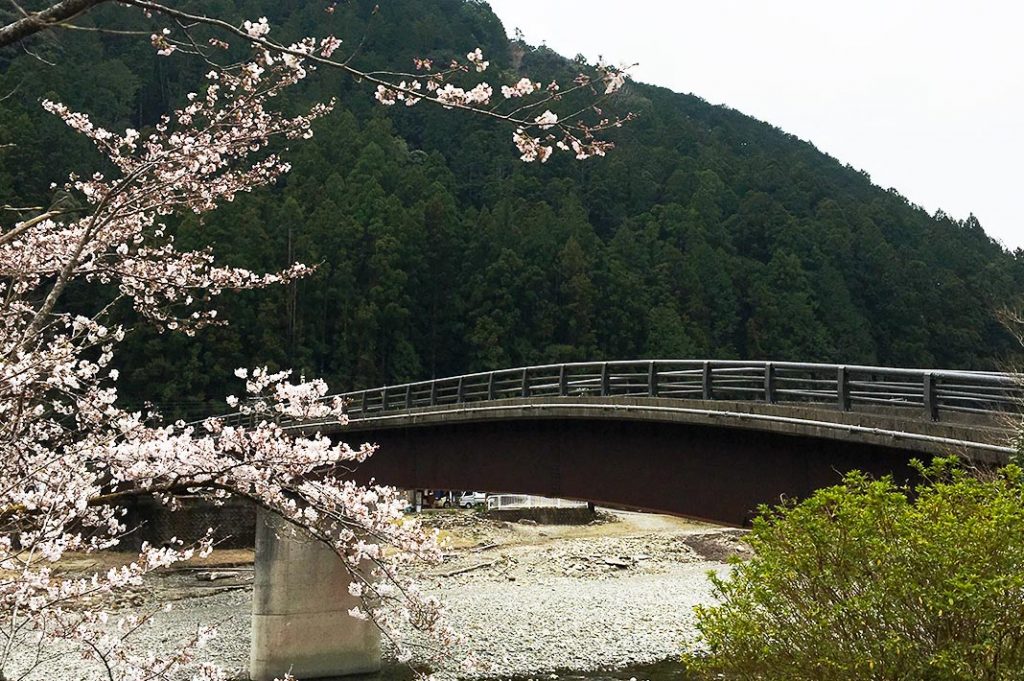 japan-wakayama-kumanokodo-pilgrimage-trail-walk-nakahechi-day4-hongu-Ukegawa Trailhead to Koguchi