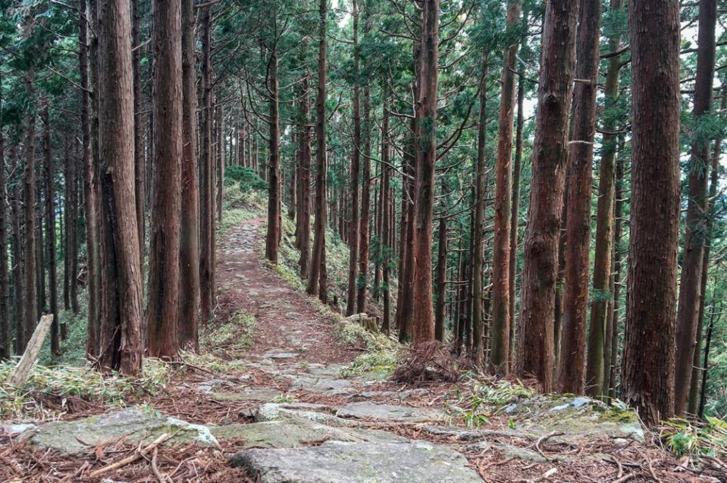 japan-wakayama-kumanokodo-pilgrimage-trail-walk-nakahechi-day5-koguchi-nachi- Ogumotori-goe