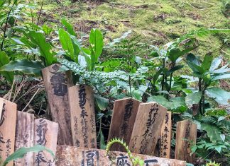 The Pacific Ocean, a Pagoda and a Waterfall: Day 5 of Kumano Kodo Nakahechi Route japan-wakayama-kumanokodo-pilgrimage-trail-walk-nakahechi-day5-koguchi-nachi