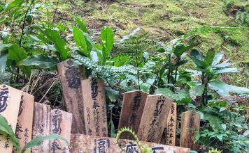 The Pacific Ocean, a Pagoda and a Waterfall: Day 5 of Kumano Kodo Nakahechi Route japan-wakayama-kumanokodo-pilgrimage-trail-walk-nakahechi-day5-koguchi-nachi
