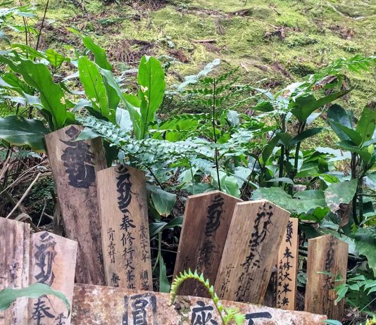 The Pacific Ocean, a Pagoda and a Waterfall: Day 5 of Kumano Kodo Nakahechi Route japan-wakayama-kumanokodo-pilgrimage-trail-walk-nakahechi-day5-koguchi-nachi