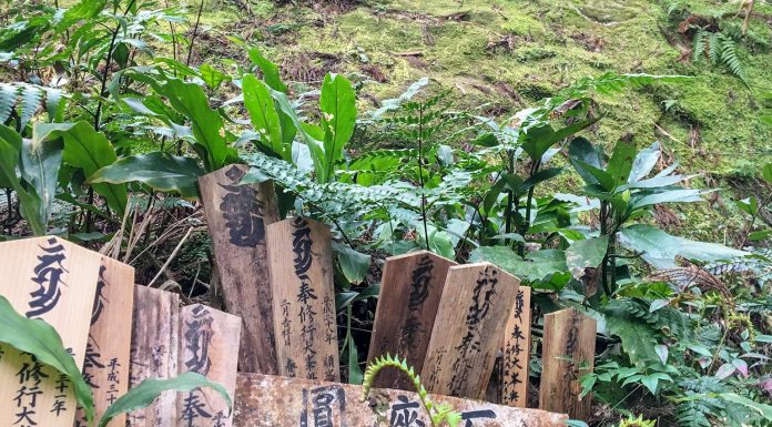 The Pacific Ocean, a Pagoda and a Waterfall: Day 5 of Kumano Kodo Nakahechi Route japan-wakayama-kumanokodo-pilgrimage-trail-walk-nakahechi-day5-koguchi-nachi