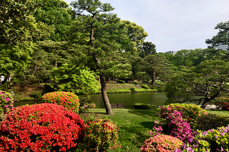 The garden represents a kaiyu style (circuit style) daimyo garden of the Edo era.