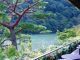 Café Hassui, Arashiyama’s Luxury Teahouse arashiyama-kyoto-teahouse-luxury-daytrip-suiran-cafe-hassui