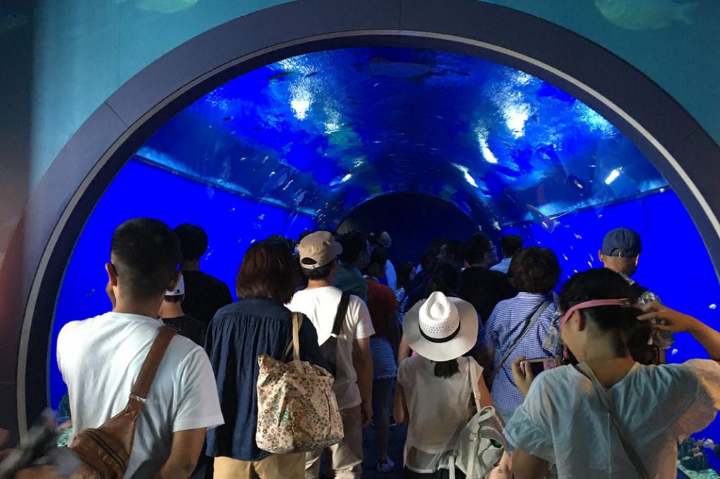 Things to do in Osaka: Osaka Aquarium Kaiyukan. A great indoor activity Osaka.