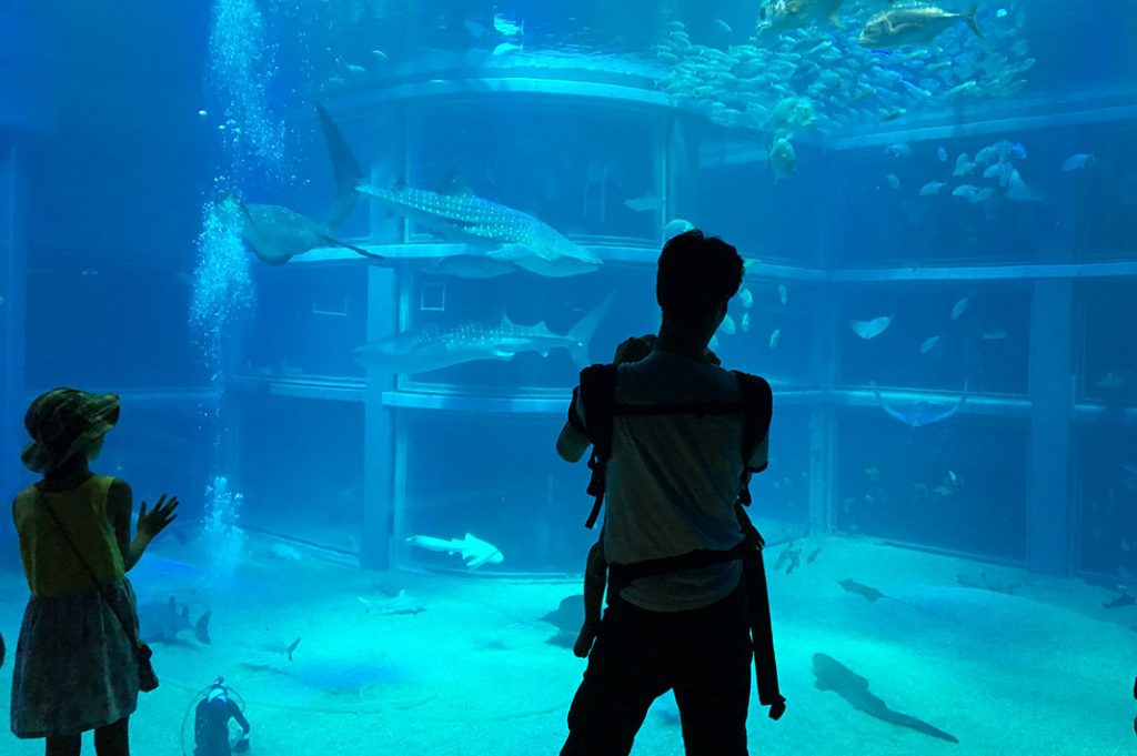 Things to do in Osaka: Osaka Aquarium Kaiyukan. A great indoor activity Osaka.