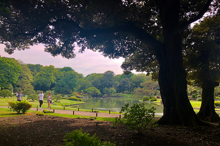 Rokugien Garden was created in 1702 by Yoshiyasu Yanagisawa, the lord of Kawagoe domain, who was trusted by Tsunayoshi Tokugawa, the 5th shogun in Edo era.