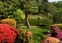 A Cultural Heritage Park in Tokyo – Rikugien Garden of Waka poetry Rikugien Garden is a Cultural Heritage Park in Tokyo.