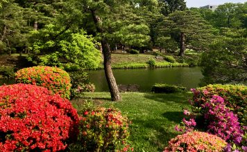 A Cultural Heritage Park in Tokyo – Rikugien Garden of Waka poetry Rikugien Garden is a Cultural Heritage Park in Tokyo.