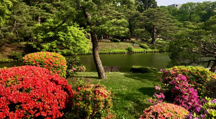 A Cultural Heritage Park in Tokyo – Rikugien Garden of Waka poetry Rikugien Garden is a Cultural Heritage Park in Tokyo.