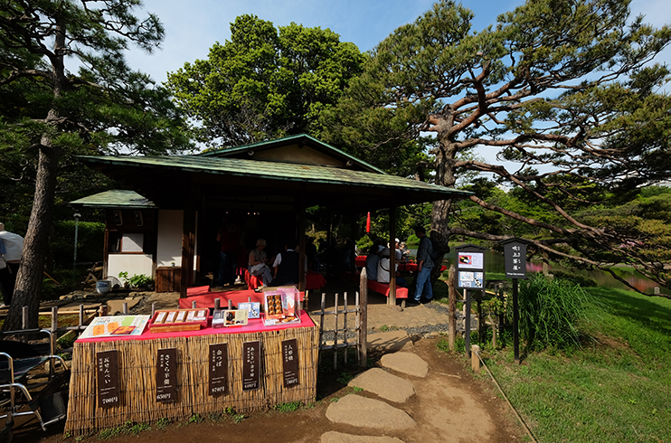 Azalea Wood Tea Houses in edo era