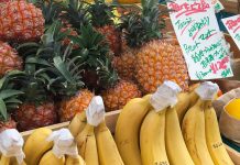 Tokyo Farmer’s Market at UNU