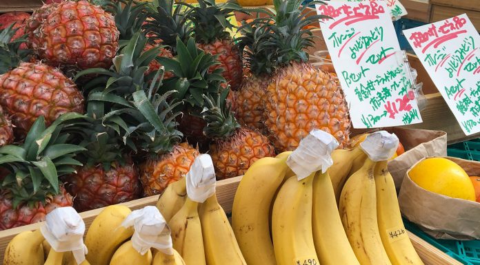 Tokyo Farmer’s Market at UNU