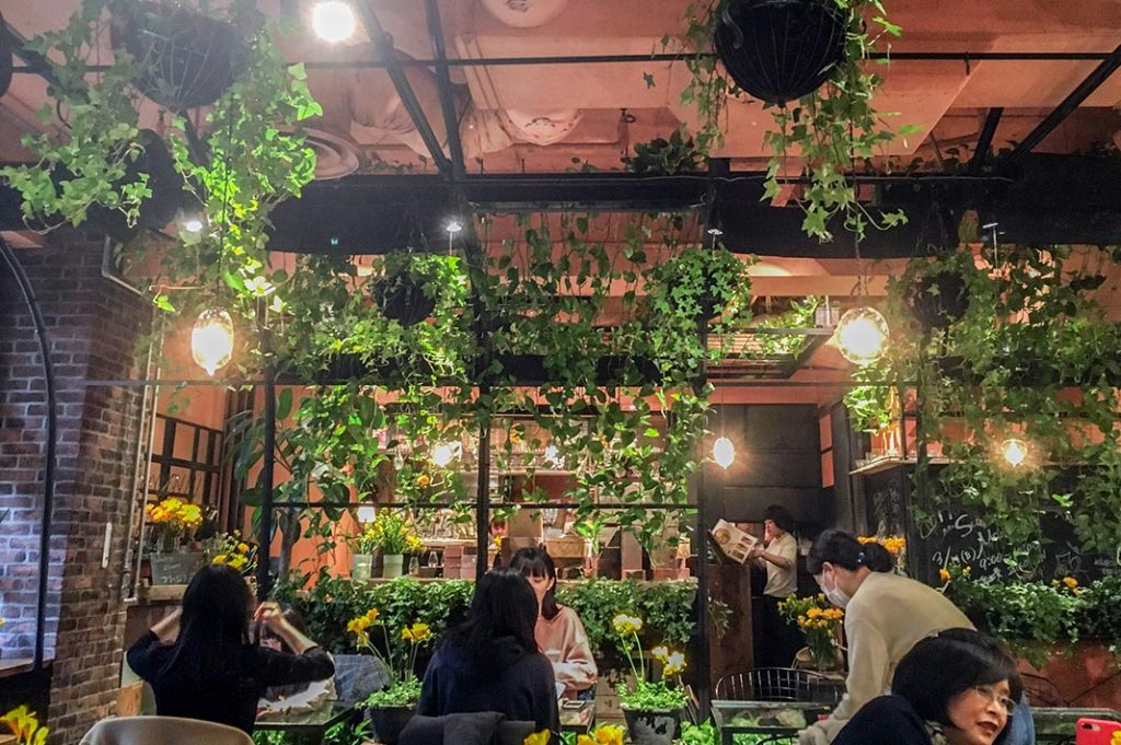 Tokyo cafe: Aoyama Flower Market teahouse
