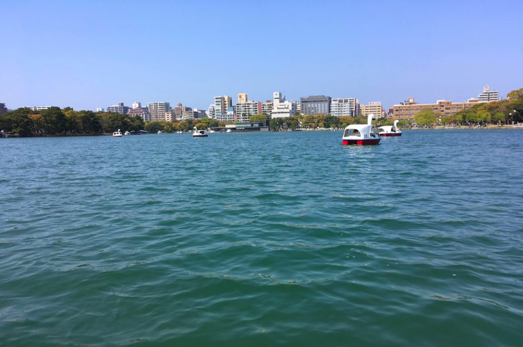 The swan boats afford a view of the park and the wider city of Fukuoka.