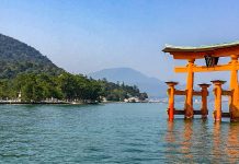 Renewal on Miyajima: Tokyo to Okinawa Day 8 Miyajima