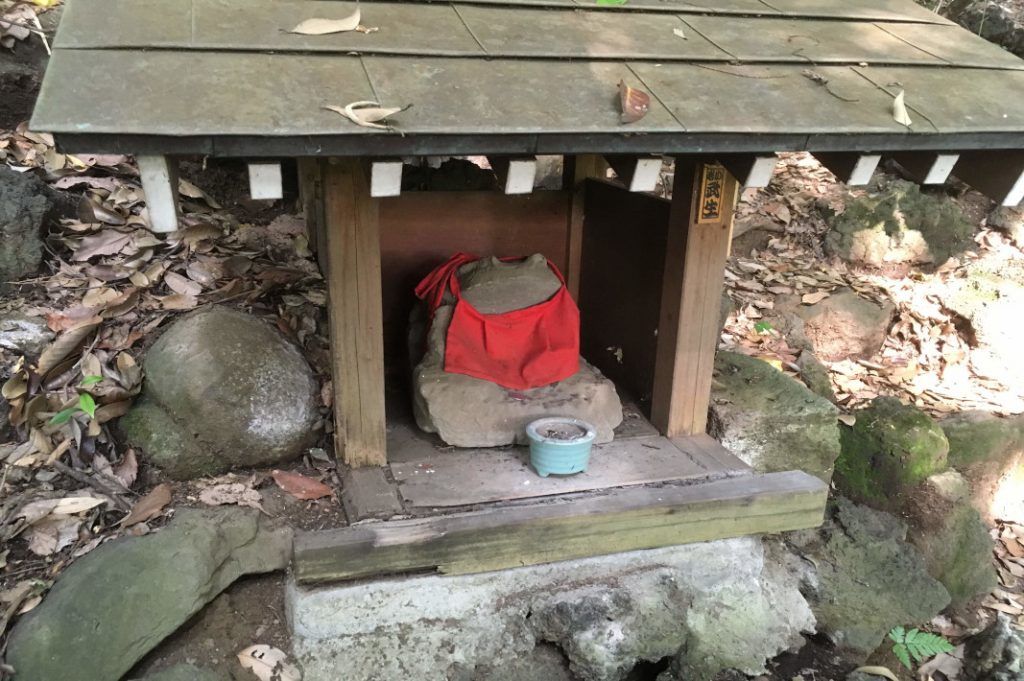 Nestled in Tokyo's original forests, a frog watches over Todoroki Valley Park.