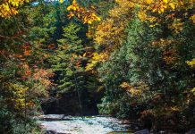 Forests, Lakes and Ancient Trails: Day trips in the Kiso-Valley