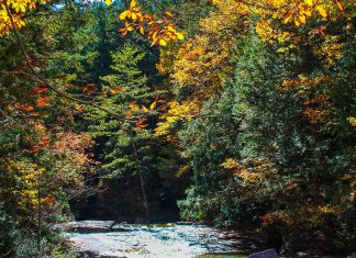Forests, Lakes and Ancient Trails: Day trips in the Kiso-Valley