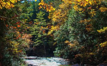 Forests, Lakes and Ancient Trails: Day trips in the Kiso-Valley