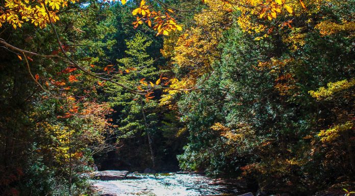 Forests, Lakes and Ancient Trails: Day trips in the Kiso-Valley
