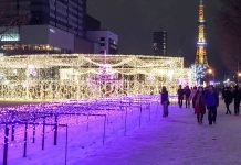 An Unforgettable White Christmas In Japan: Destination Sapporo