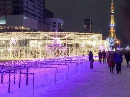 An Unforgettable White Christmas In Japan: Destination Sapporo