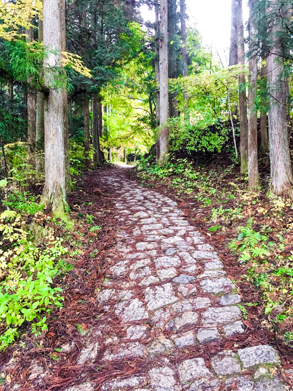 walking magome to tsumago: the Nakasendo Trail 