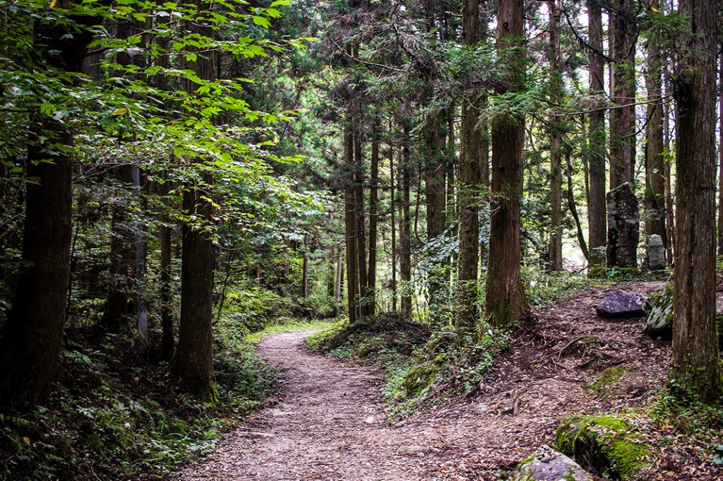 1 day kiso valley hike: magome to tsumago