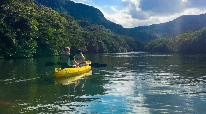 Kayaking through Paradise on Okinawa’s Iriomote Island