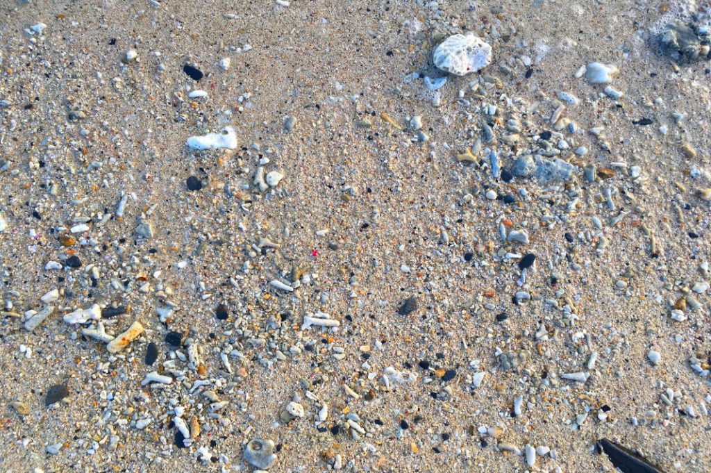 Sifting through the sands of Onna for shells was about as intense as life got on our second day.