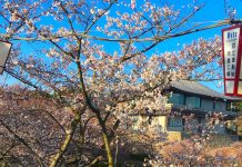 Backpacking Through Japan – An Overview A20 - Header