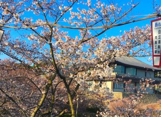 Backpacking Through Japan – An Overview A20 - Header