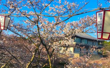 Backpacking Through Japan – An Overview A20 - Header