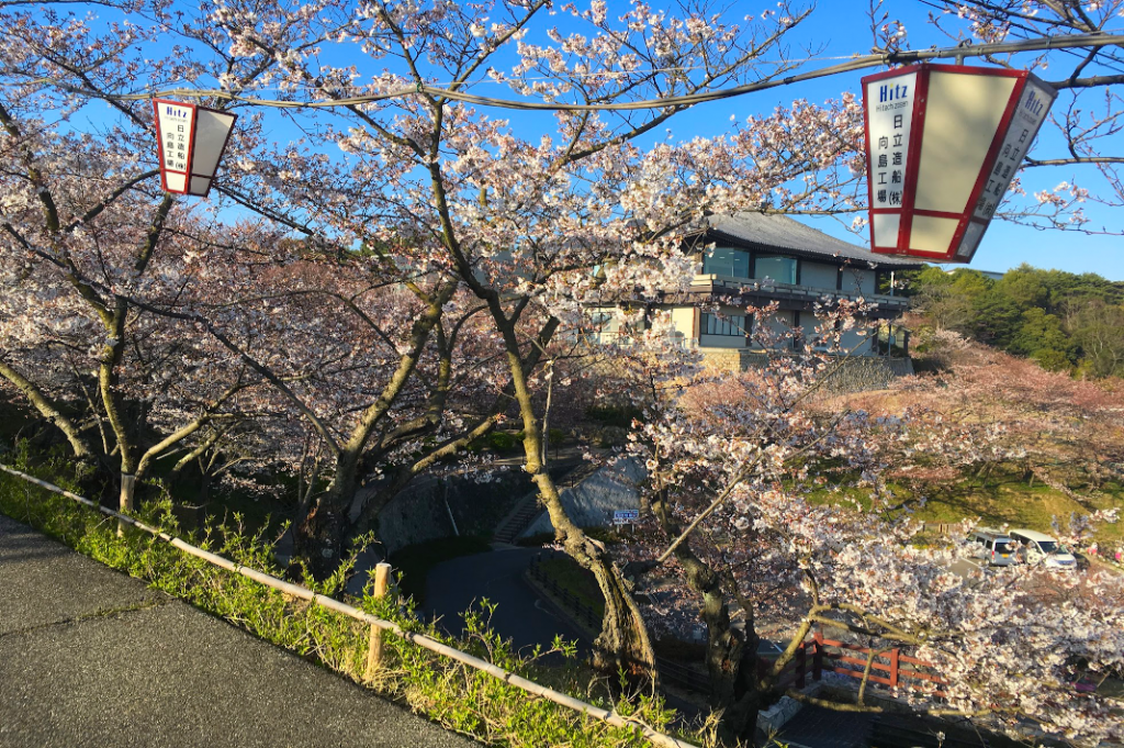 Traveling cheaply allowed for a more leisurely pace that allowed us to take in the cherry blossom in fifteen prefectures.