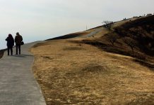 Mount Omuro: Volcanic Archery and the Fiery Yamayaki Festival