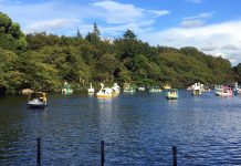 Studio Ghibli, Live Music, and Cursed Swan Boats: A Day at Inokashira Park